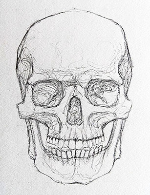 A detailed pencil drawing of a human skull. 