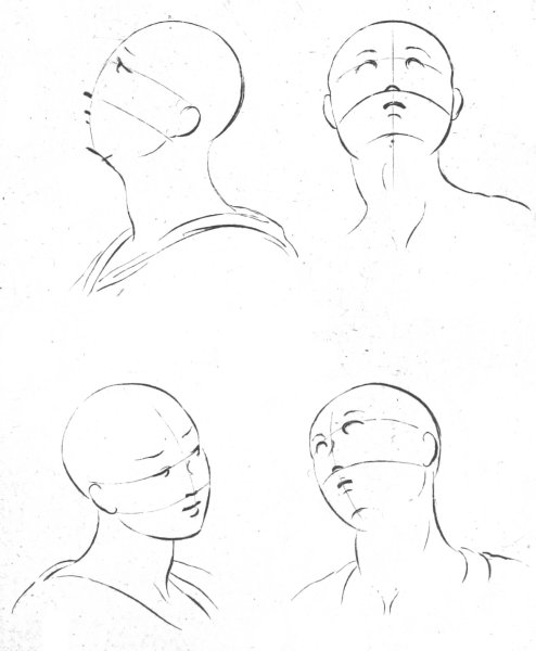 A diagram showing how to draw a human face.