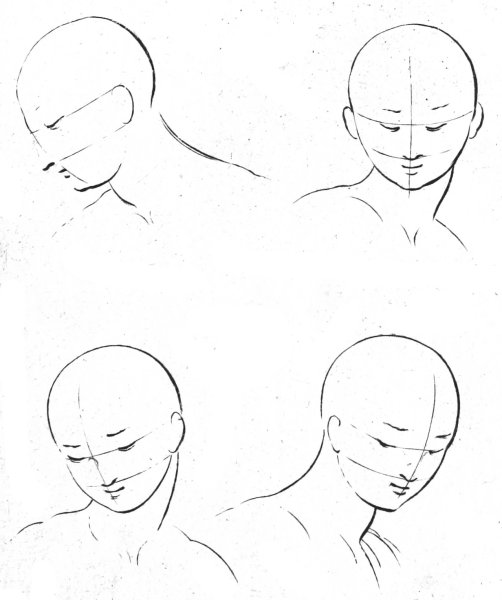 A diagram showing how to draw a human face.