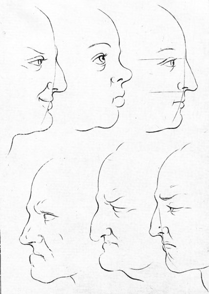A diagram showing how to draw a human face.