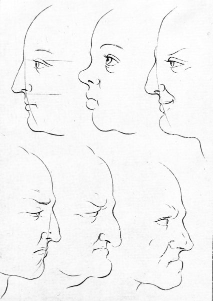 A diagram showing how to draw a human face.