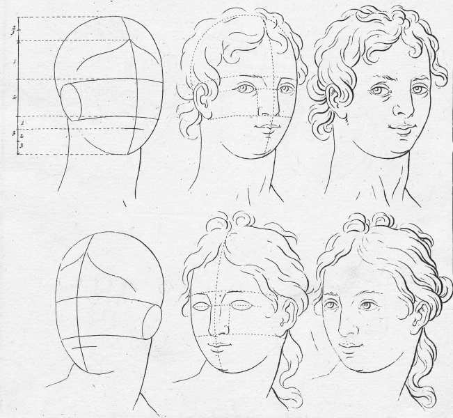 A diagram showing how to draw a human face.