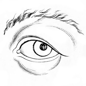 A diagram of how to draw a human eye.