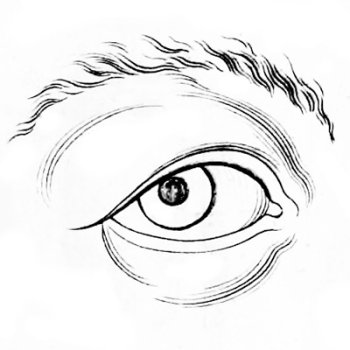 A diagram of how to draw a human eye.