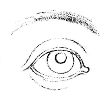 A diagram of how to draw a human eye.