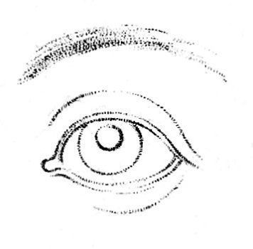 A diagram of how to draw a human eye.