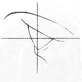A diagram of how to draw a human eye.