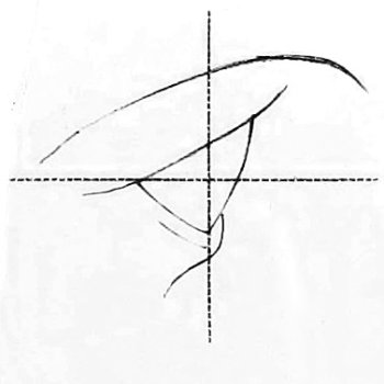 A diagram of how to draw a human eye.