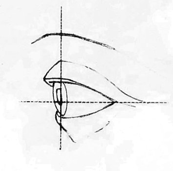 A diagram of how to draw a human eye.