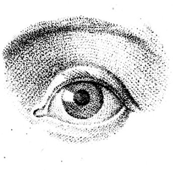 A diagram of how to draw a human eye.