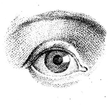 A diagram of how to draw a human eye.