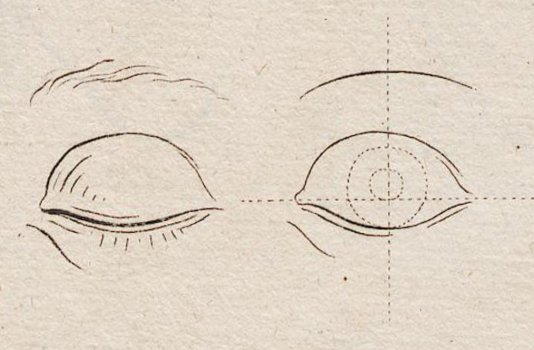 A diagram of how to draw a human eye.