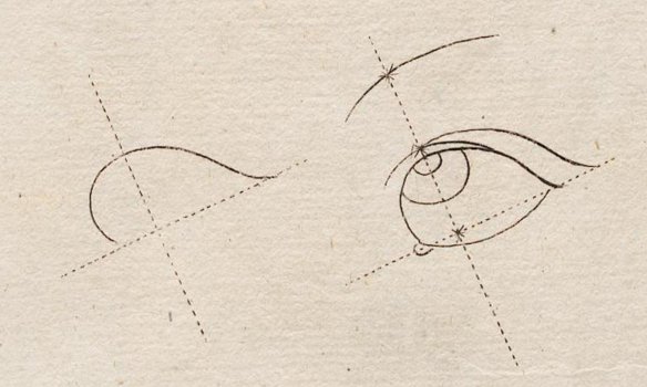 A diagram of how to draw a human eye.