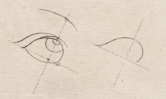 A diagram of how to draw a human eye.