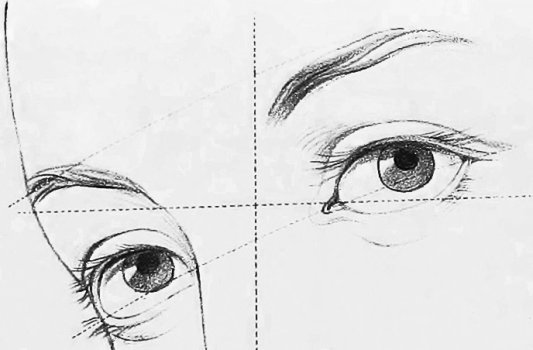 A diagram showing how to draw eyes.