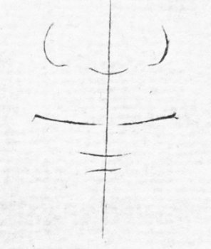 A diagram showing how to draw a human mouth.