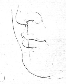 A diagram showing how to draw a human mouth.