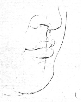 A diagram showing how to draw a human mouth.