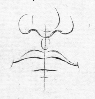 A diagram showing how to draw a human mouth.