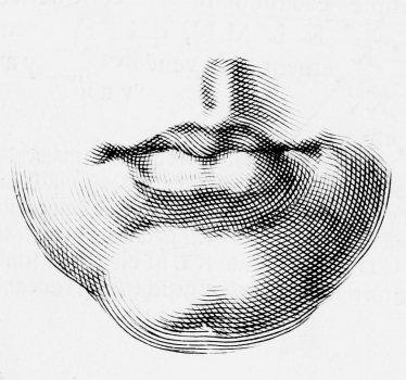 A diagram showing how to draw a human mouth.