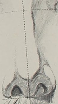 A diagram showing how to draw a human nose.