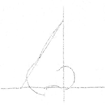 A diagram showing how to draw a human nose.