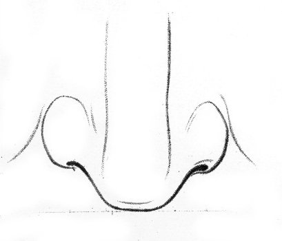 A diagram showing how to draw a human nose.