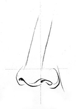 A diagram showing how to draw a human nose.