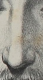 A diagram showing how to draw a human nose.