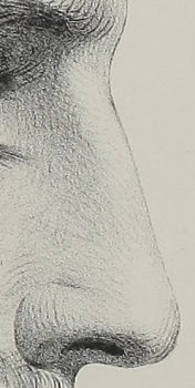 A diagram showing how to draw a human nose.