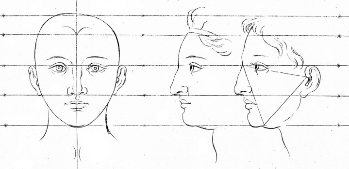A diagram showing how to draw a human face.