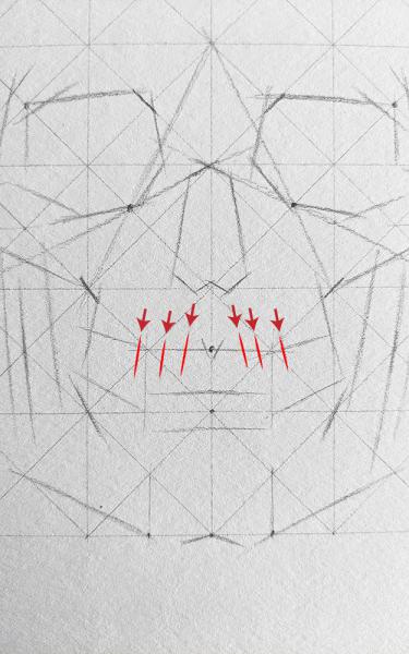 A diagram for drawing a human skull showing several steps. 