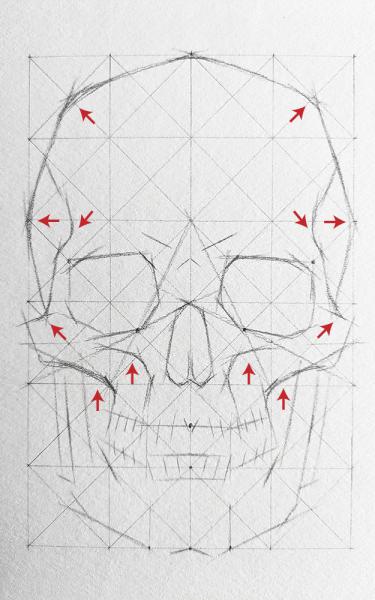 A diagram for drawing a human skull showing several steps. 