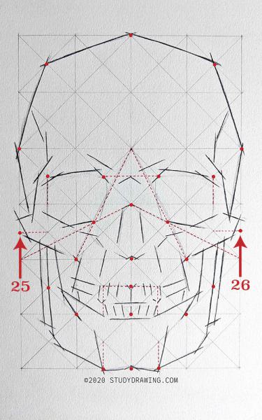 A diagram for drawing a human skull showing several steps. 